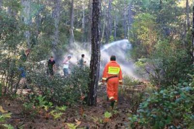 Übung zur Waldbrand löschen Quelle HAWK