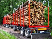 EU Partnerschaftsabkommen gegen den illegalen Holzeinschlag abgeschlossen haben, Quelle: © Sebastian Freund - Fotolia.com