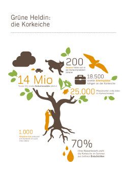 Infografik Gruene Heldin die Korkeiche