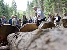 Die Holzvorräte Deutschlands sind mittlerweile die größten in Europa, Quelle: Guido Bergmann / BPA 