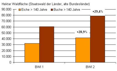  Entwicklung der Fläche alter Eichen- und Buchenbestände im Staatswald der alten Bundesländer