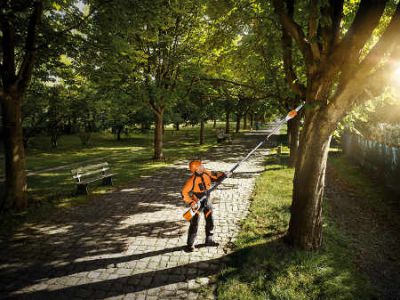 Leistungsstarke Hoch-Entaster STIHL HTA 85 mit EC-Motor Bild STIHL