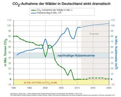 CO2 Aufnahme der Wald Quelle: Greenpeace