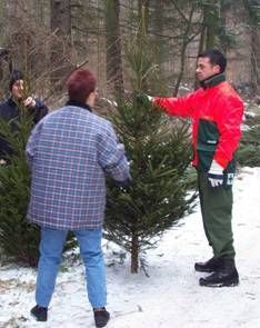 &quot;Echter&quot; Christbaum ist auch echter Beitrag zum Klimaschutz