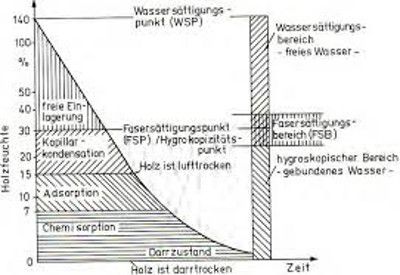 Schematische Darstellung der Bindungsformen des Wassers im Holz -ME;S.11-