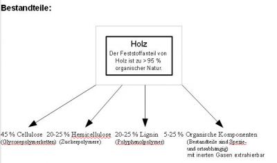 Bestandteile von Holz