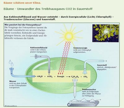 CO2-Kreislauf