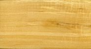 Holz von Basswood