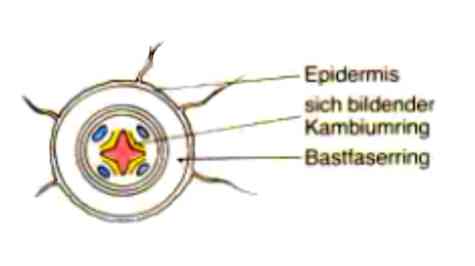 bild7
