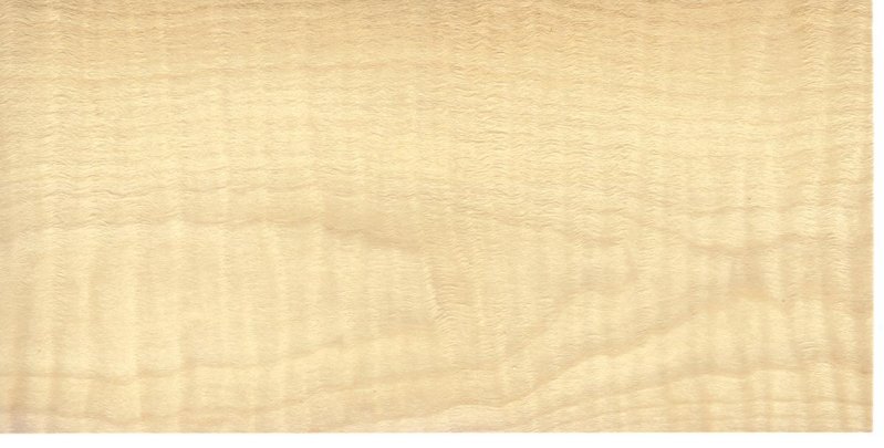 Das Holz des Bergahorns - Eigenschaften und Verwendung