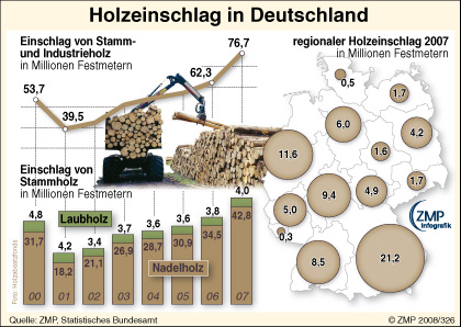 holzeinschlag-D2007